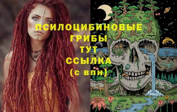 кокаин перу Дмитриев